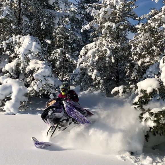 Meet your Posher, Michael - Picture 1 of 1